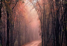 状态出色!塔图姆复出轰下29分10板8助.