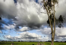 马赛主帅德泽尔比暴怒,取消2天休假+不放球员回家+封闭集训198.