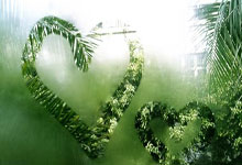 海星体育官网：[德甲]小胜奥格斯堡 勒沃库森保持赛季不败.