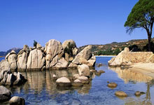 曼晚：曼联欧联强势晋级，阿莫林战术显威.